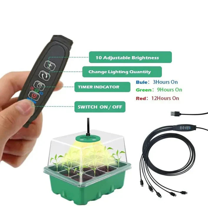 Indoor Mini-Garden with Integrated Lighting for Optimal Plant Growth