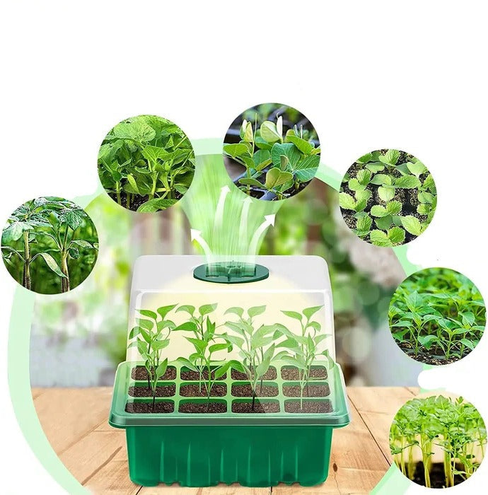 Indoor Mini-Garden with Integrated Lighting for Optimal Plant Growth