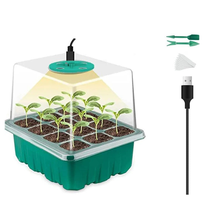 Indoor Mini-Garden with Integrated Lighting for Optimal Plant Growth