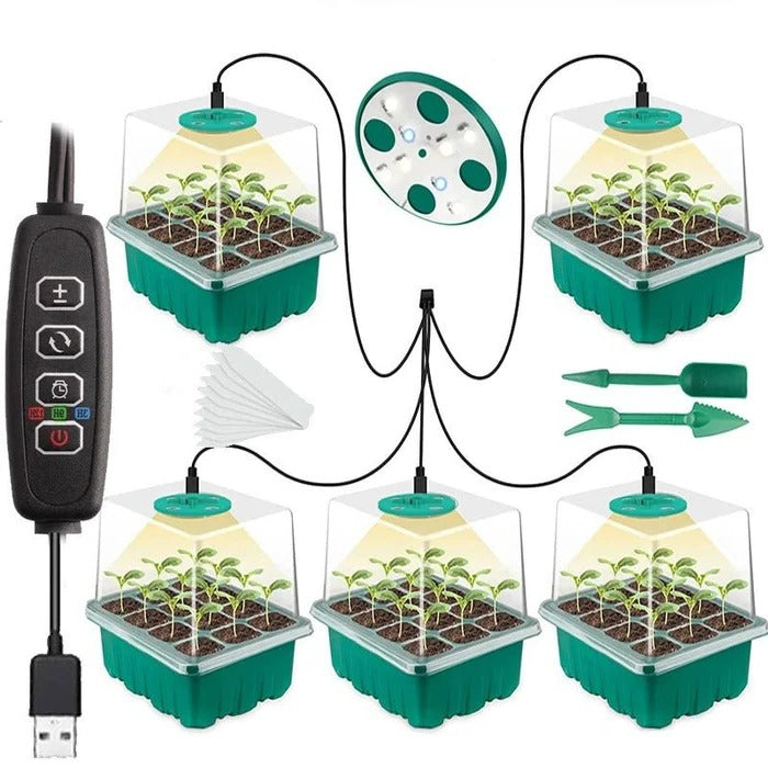 Indoor Mini-Garden with Integrated Lighting for Optimal Plant Growth