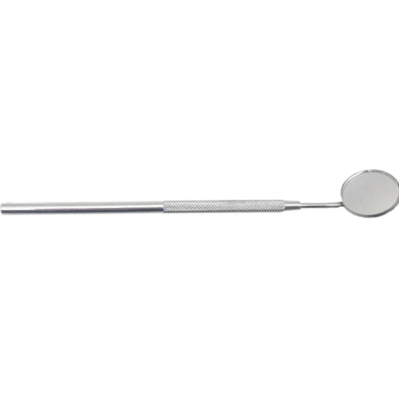 Stainless Steel Tooth Cleaning Kit for Plaque Removal