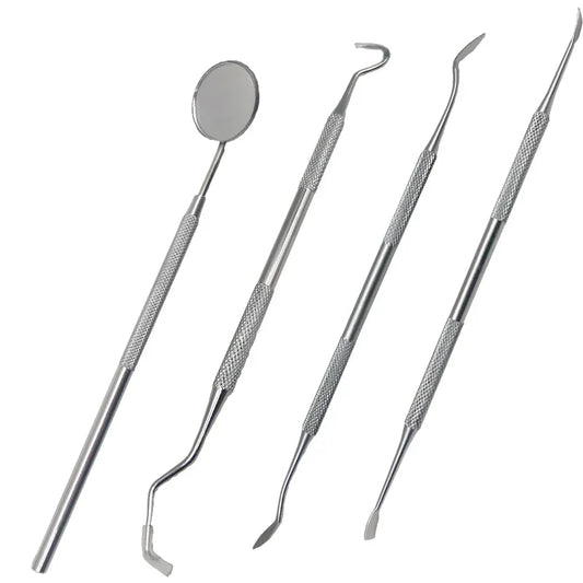 Stainless Steel Tooth Cleaning Kit for Plaque Removal