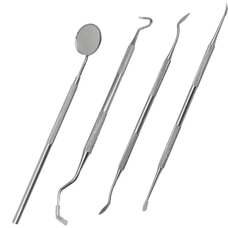 Stainless Steel Tooth Cleaning Kit for Plaque Removal