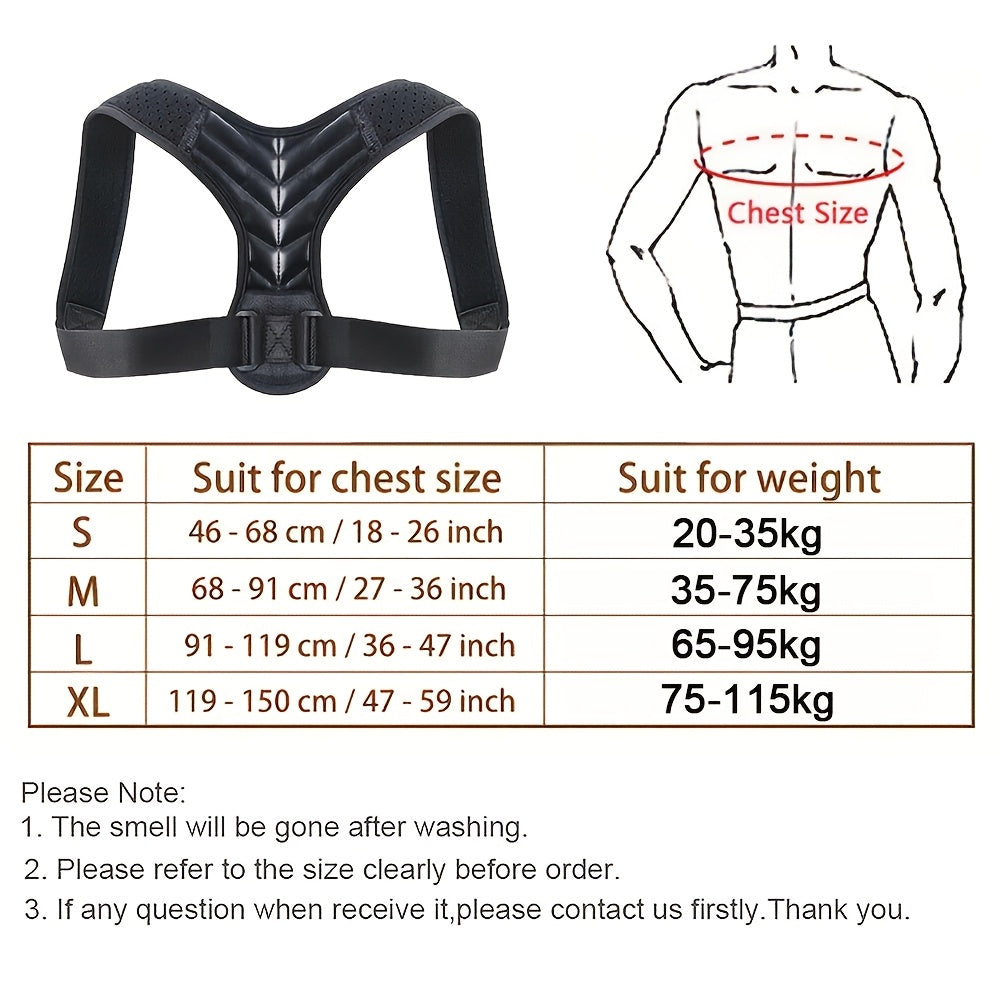 Adjustable Back Support Belt for Improved Posture