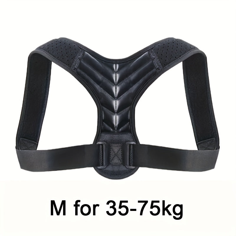 Adjustable Back Support Belt for Improved Posture