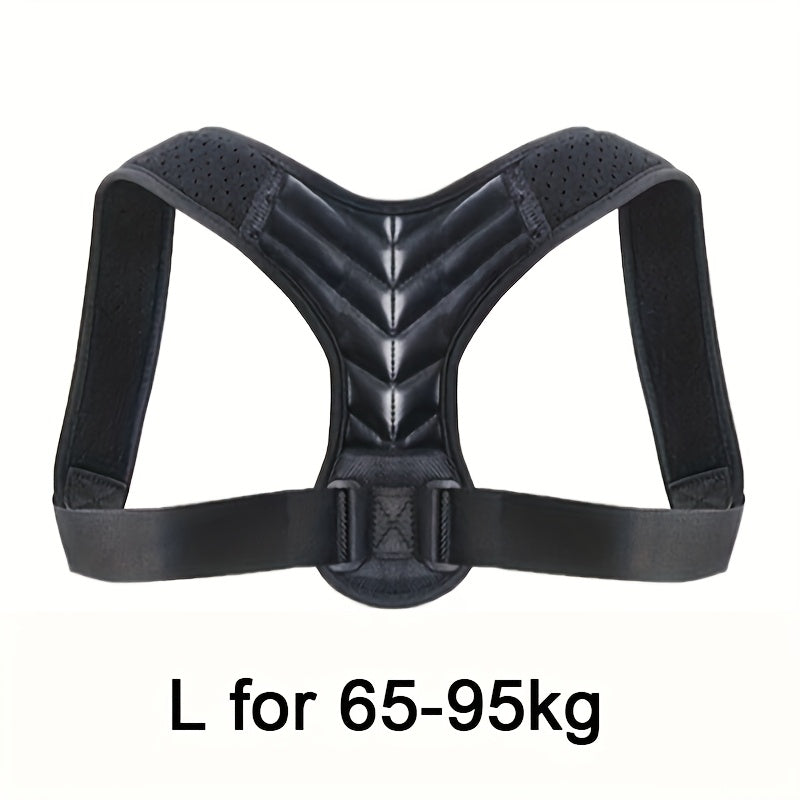 Adjustable Back Support Belt for Improved Posture
