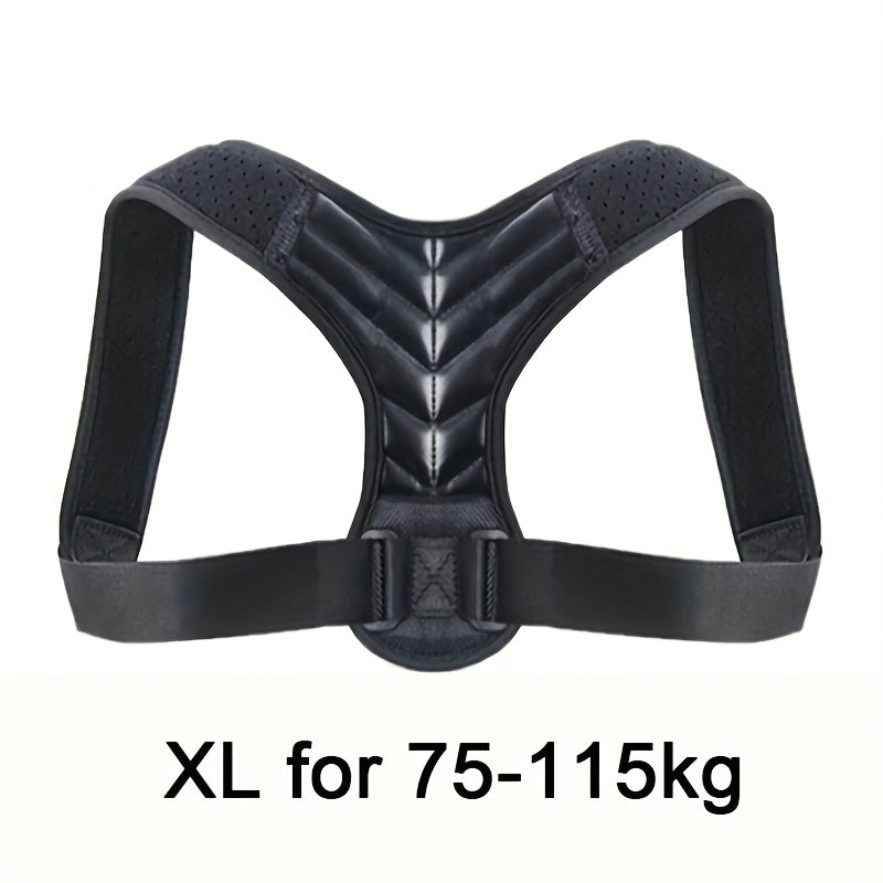 Adjustable Back Support Belt for Improved Posture