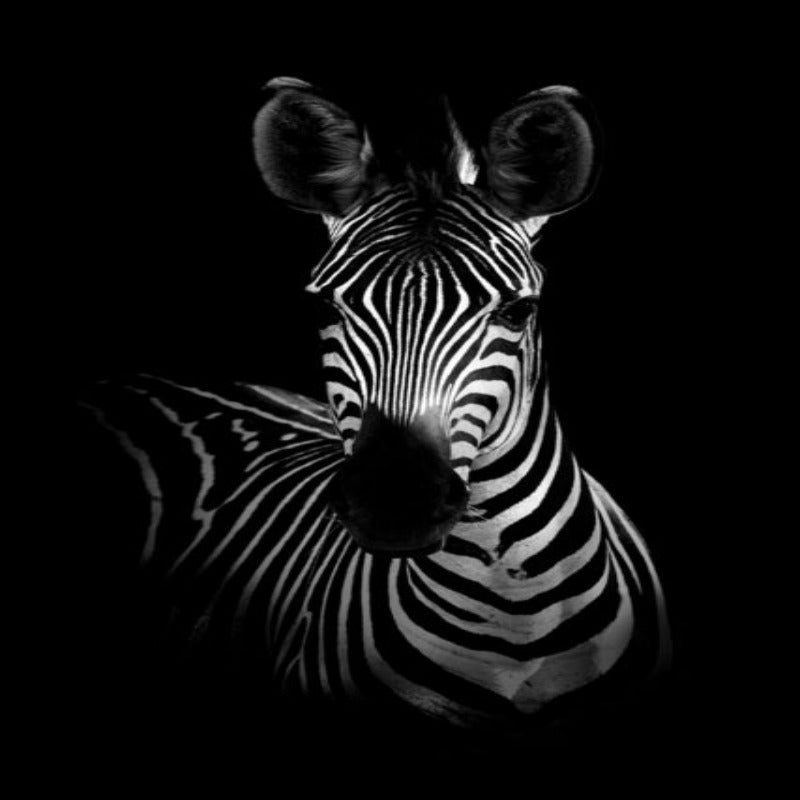 Black and White African Wildlife Canvas Wall Art