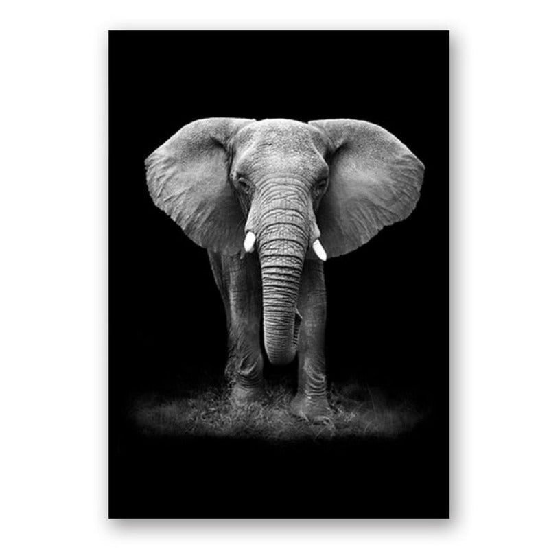 Black and White African Wildlife Canvas Wall Art