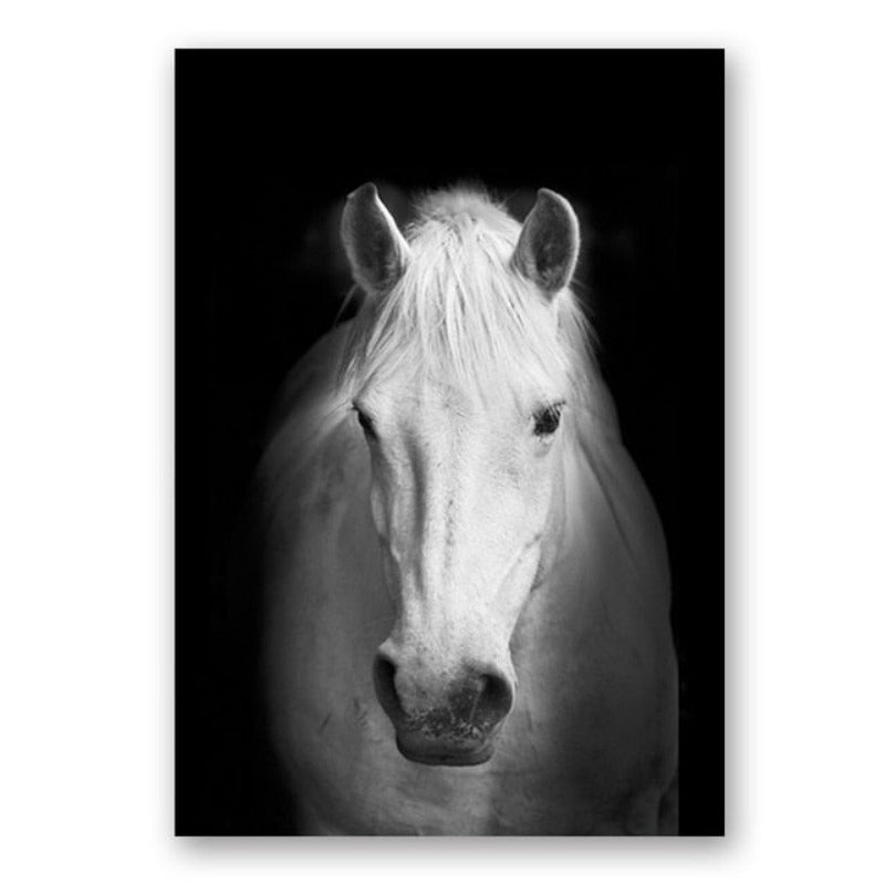 Black and White African Wildlife Canvas Wall Art