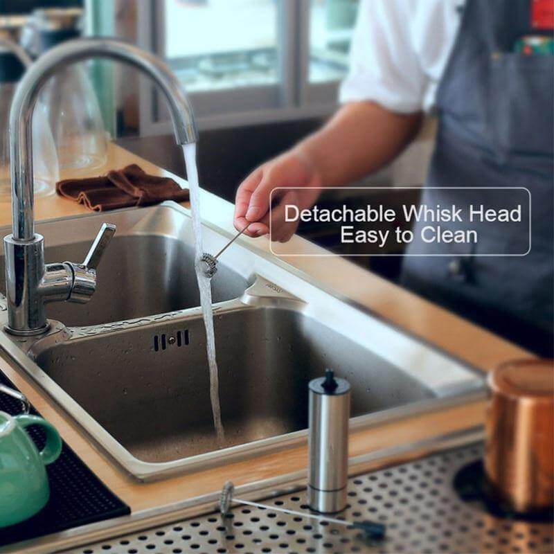 Portable Stainless Steel Milk Frother with Double Whisks