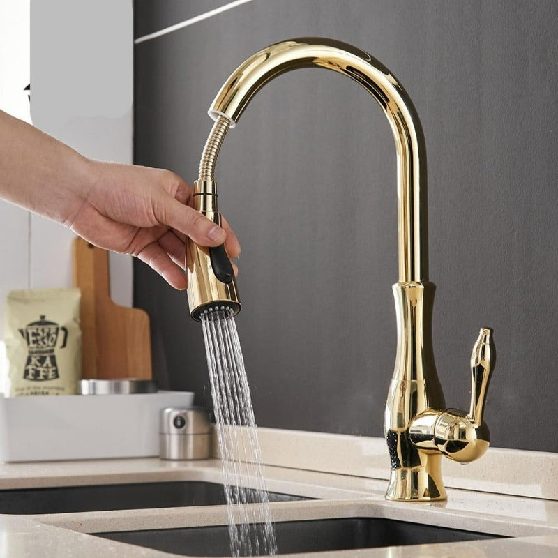 Retractable Pull-Out Kitchen Faucet with Single Lever Handle