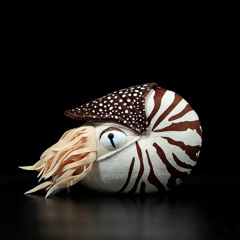 Lifelike Nautilus Soft Plush Toy 8 Inch