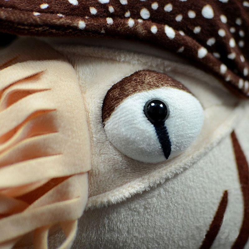 Lifelike Nautilus Soft Plush Toy 8 Inch