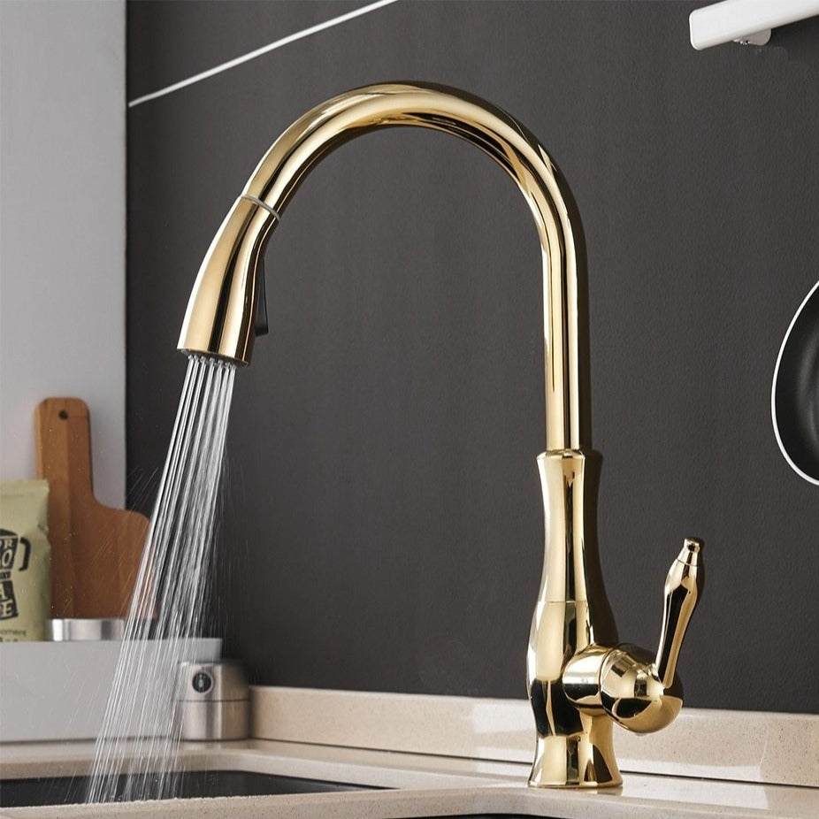 Retractable Pull-Out Kitchen Faucet with Single Lever Handle