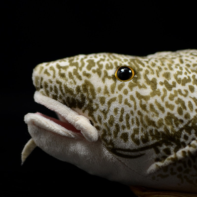 Atlantic Cod Soft Stuffed Plush Toy