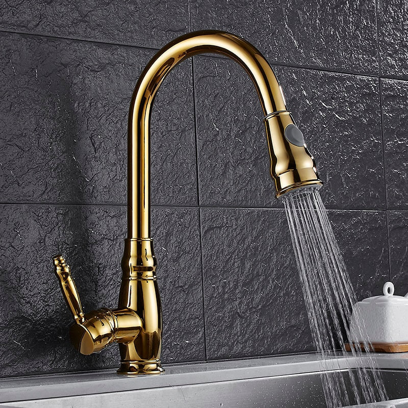 Retractable Kitchen Faucet with Dual Function Spray