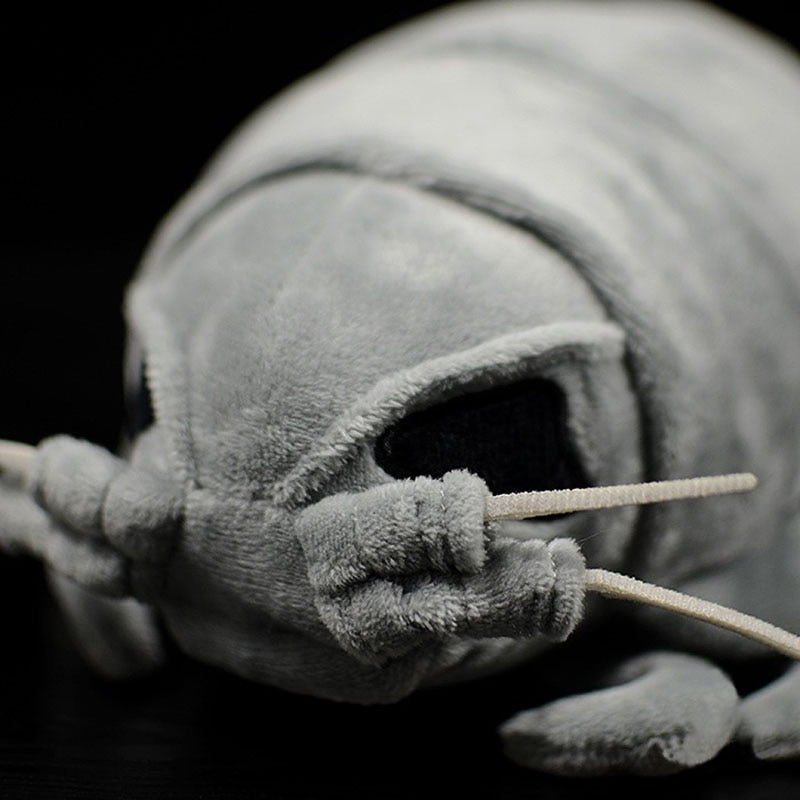 Giant Isopod Plush Stuffed Toy - 11.8" or 19.7" Gray Crustacean