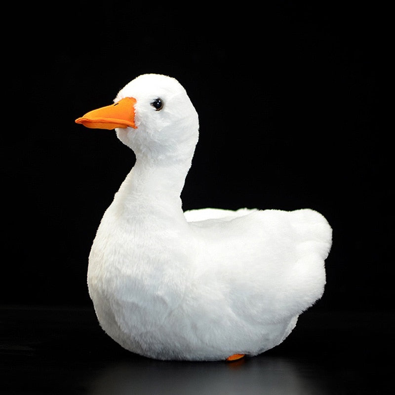Call Duck Soft Plush Toy for Ages 3+