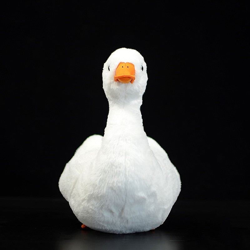 Call Duck Soft Plush Toy for Ages 3+