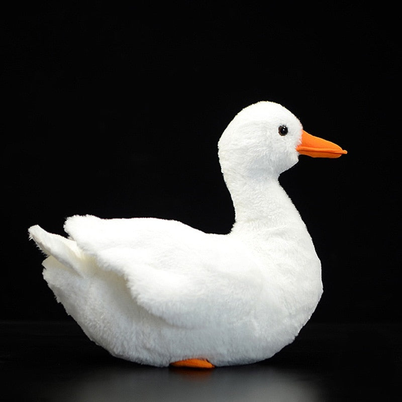 Call Duck Soft Plush Toy for Ages 3+