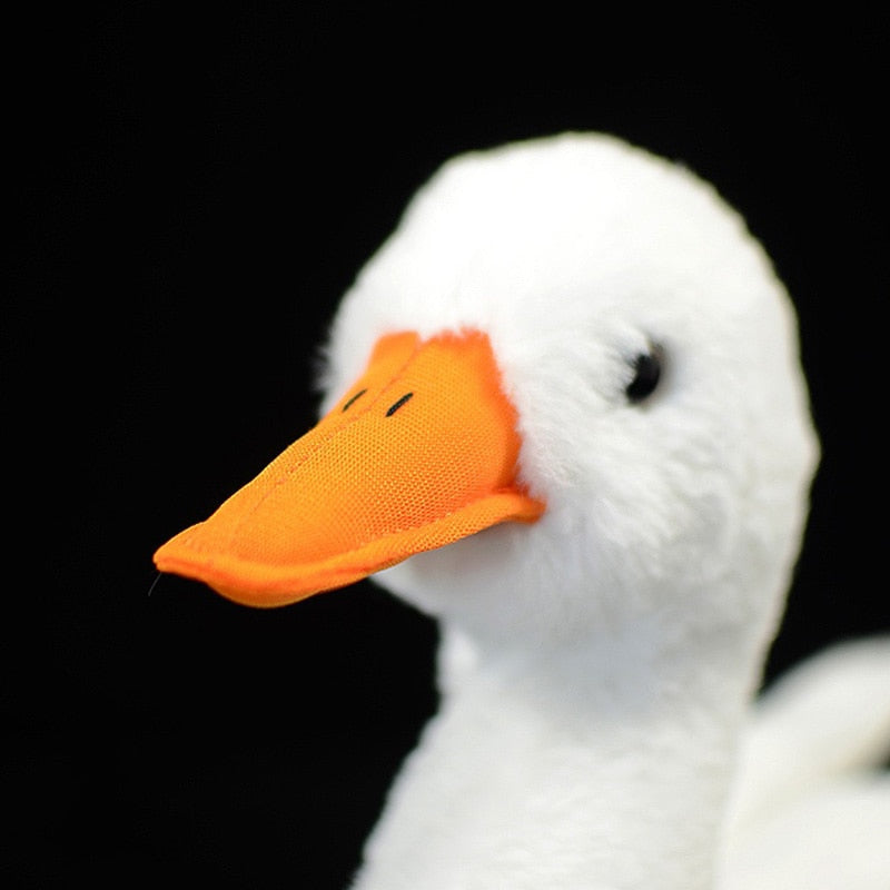 Call Duck Soft Plush Toy for Ages 3+