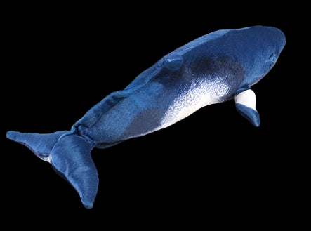 Minke Whale Plush Stuffed Toy - 21 Inch Blue & White