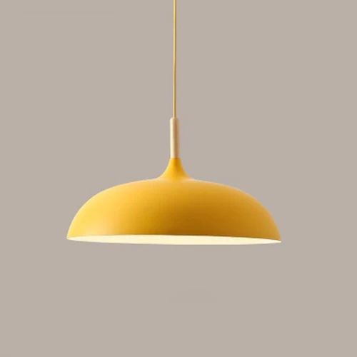 Pastel Metal and Wood Pendant Light with Adjustable Cord
