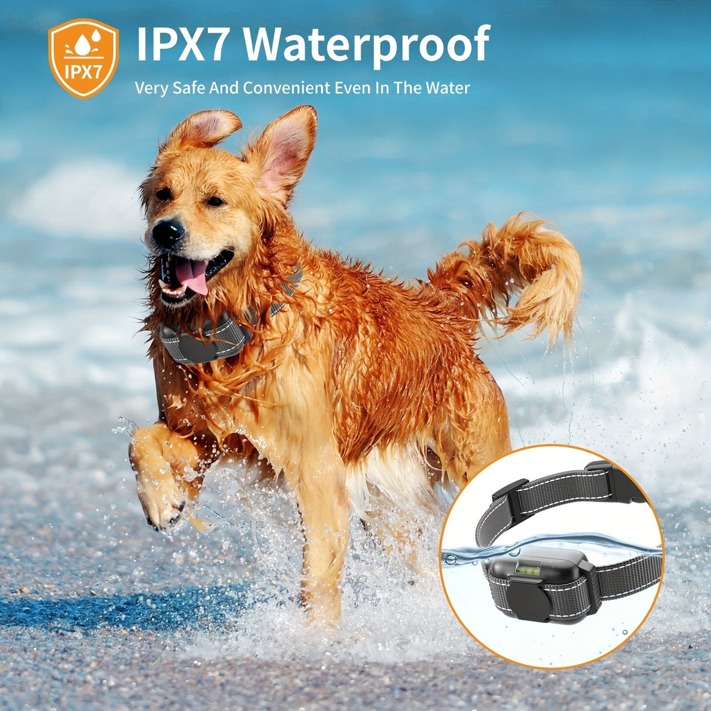Adjustable Vibration Dog Collar with USB Charging