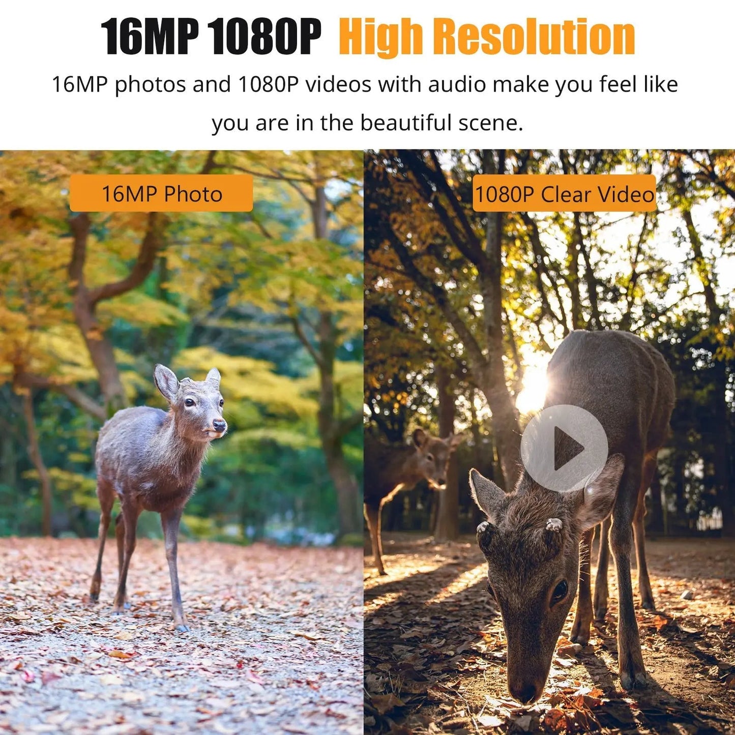 Outdoor Motion Monitoring Camera with Night Vision and Fast Trigger