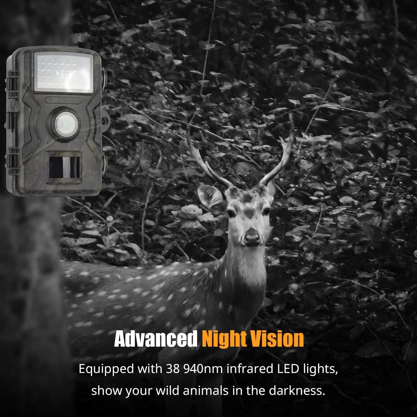 Outdoor Motion Monitoring Camera with Night Vision and Fast Trigger