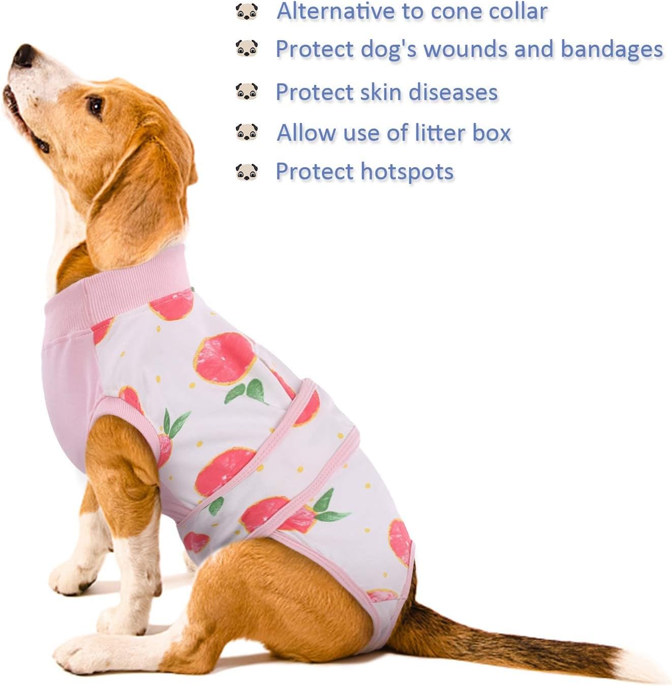 Quick Recovery Suit for Dogs and Cats – Post-Surgery Healing Shirt