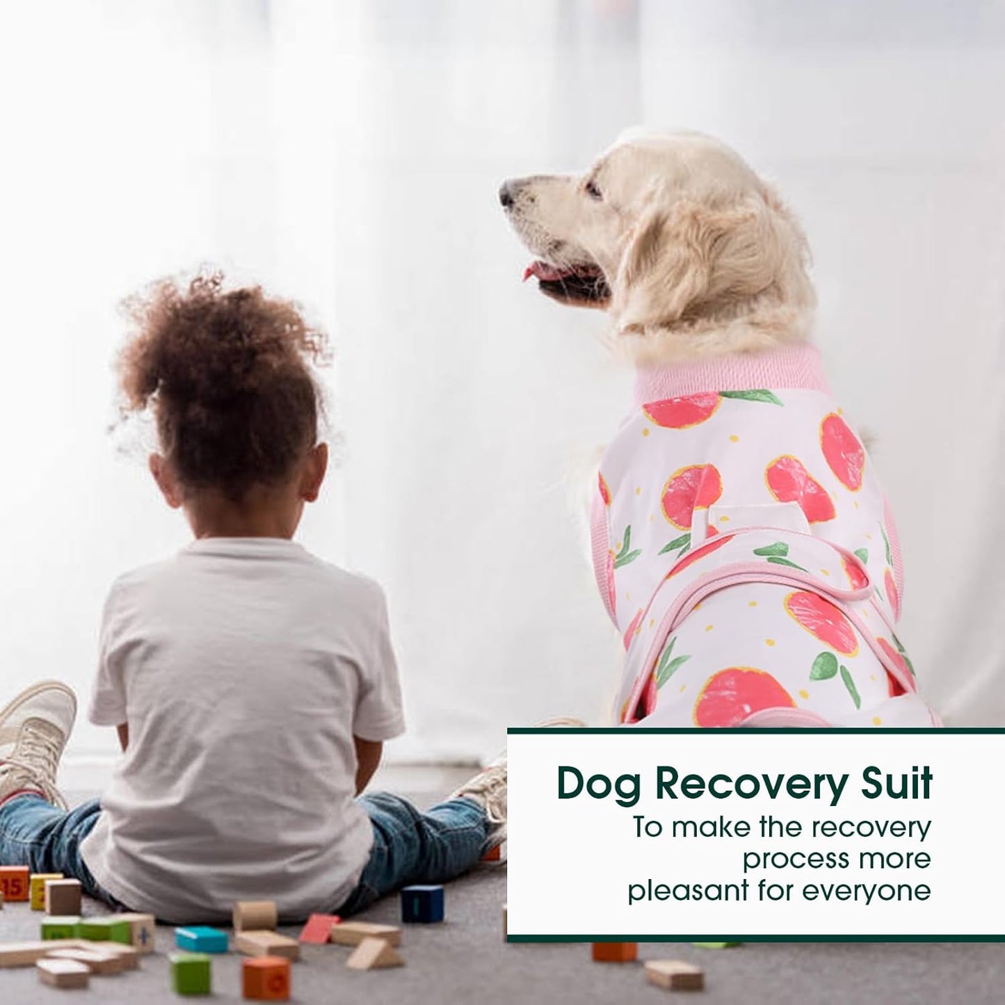 Quick Recovery Suit for Dogs and Cats – Post-Surgery Healing Shirt