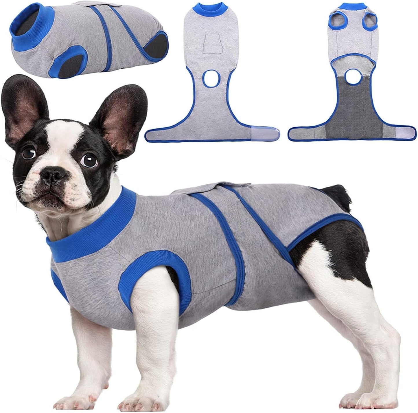 Quick Recovery Suit for Dogs and Cats – Post-Surgery Healing Shirt