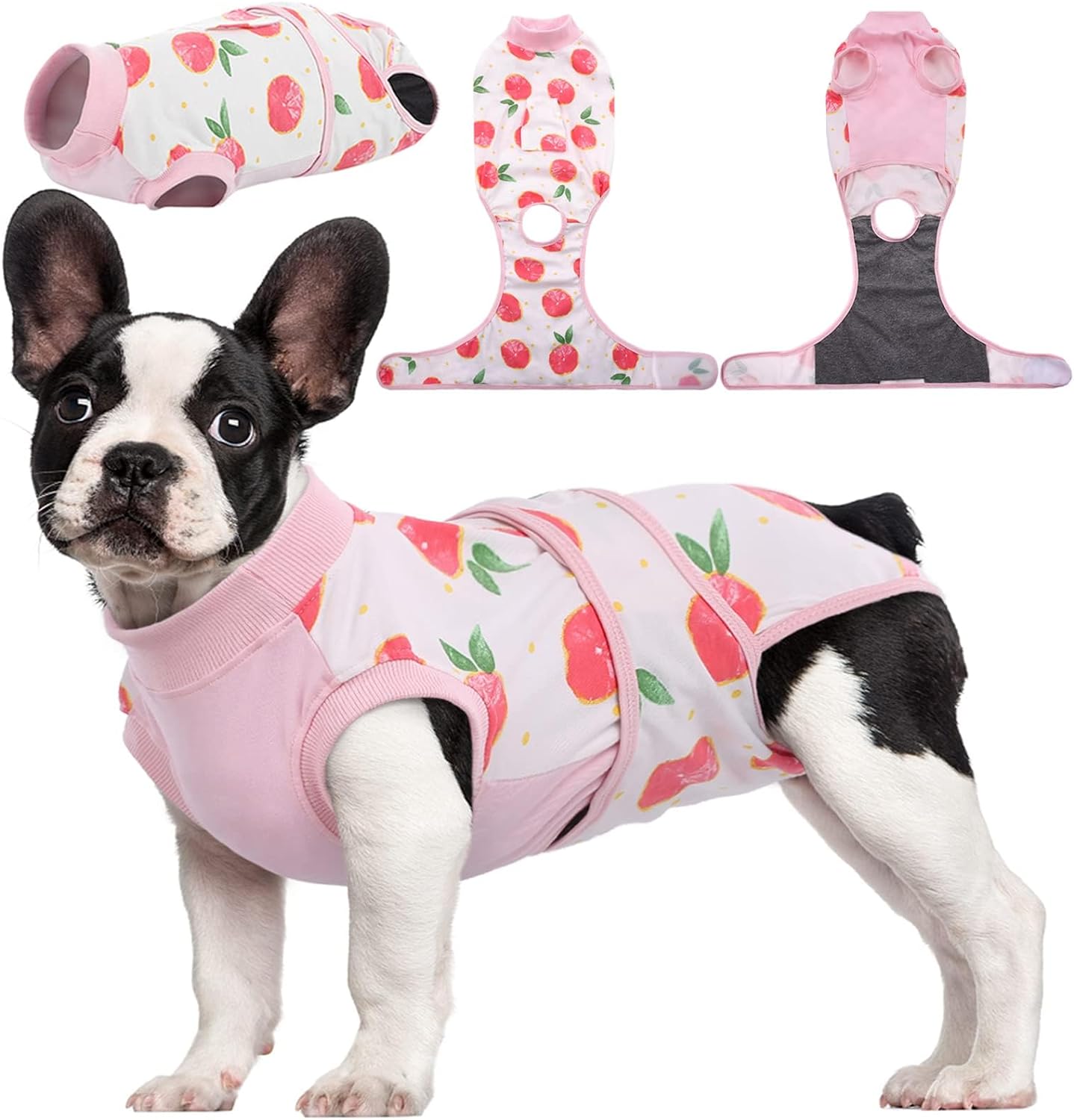 Quick Recovery Suit for Dogs and Cats – Post-Surgery Healing Shirt