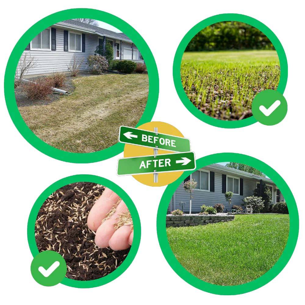 Biodegradable Grass Seed Mat with Moisture Retention