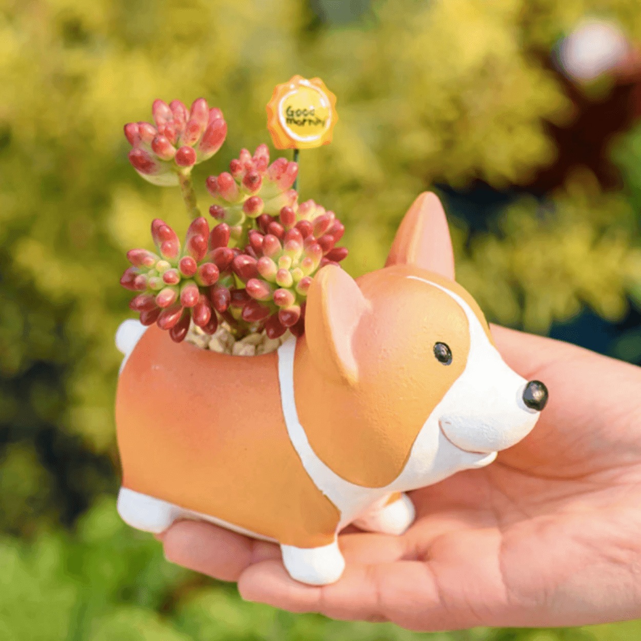 Resin Corgi Flower Pot for Succulents