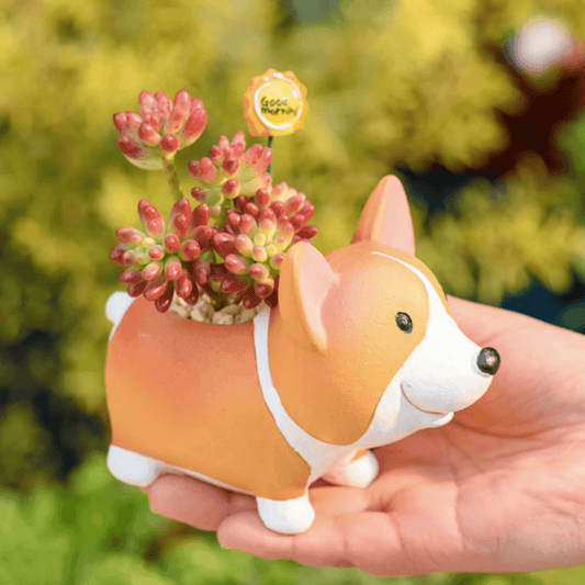 Resin Corgi Flower Pot for Succulents