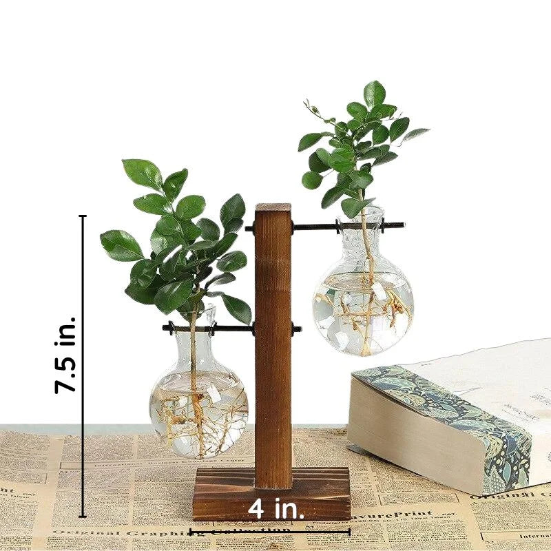 Wooden Hydroponic Plant Vase with Visible Roots