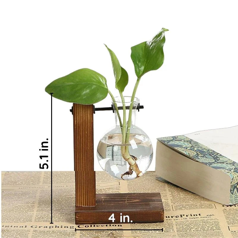 Wooden Hydroponic Plant Vase with Visible Roots