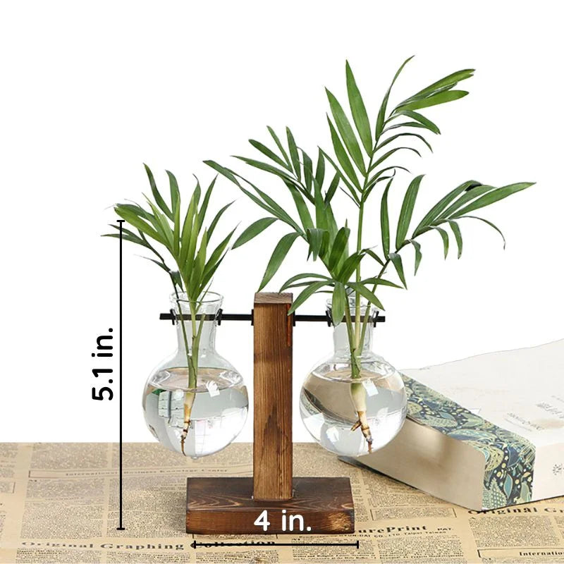 Wooden Hydroponic Plant Vase with Visible Roots