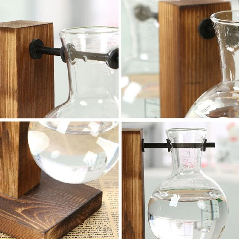 Wooden Hydroponic Plant Vase with Visible Roots