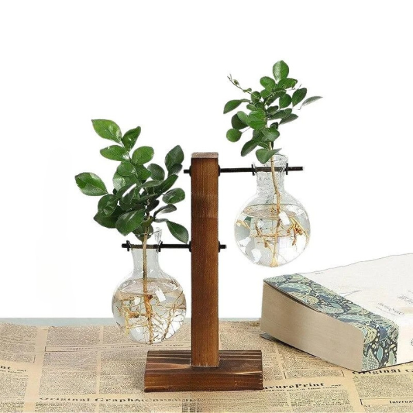 Wooden Hydroponic Plant Vase with Visible Roots