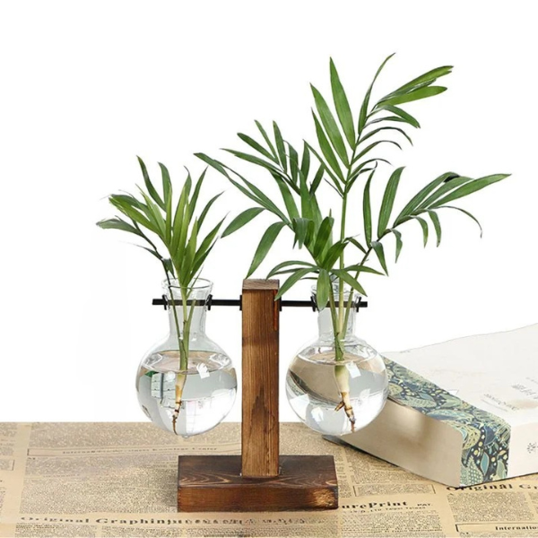 Wooden Hydroponic Plant Vase with Visible Roots