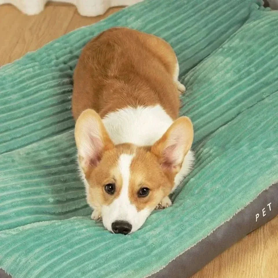 Orthopedic Dog Bed with Plush Cover for Joint Support and Comfort