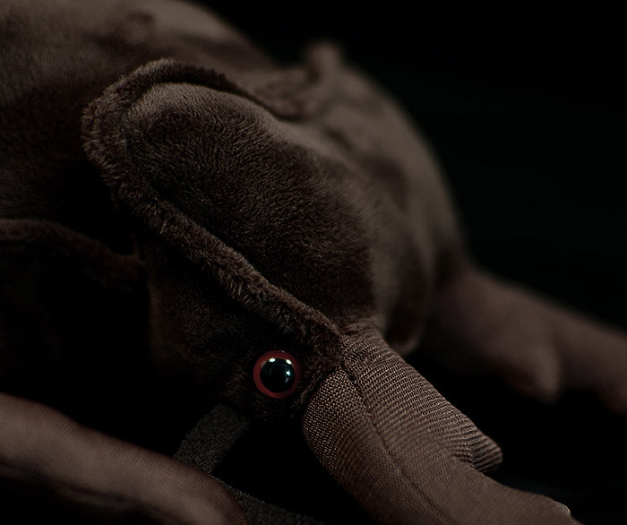 Stag Beetle Plush Stuffed Toy for Ages 3+