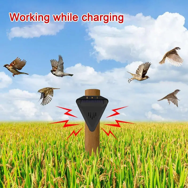 Solar-Powered Bird Scarecrow with Predator Sounds