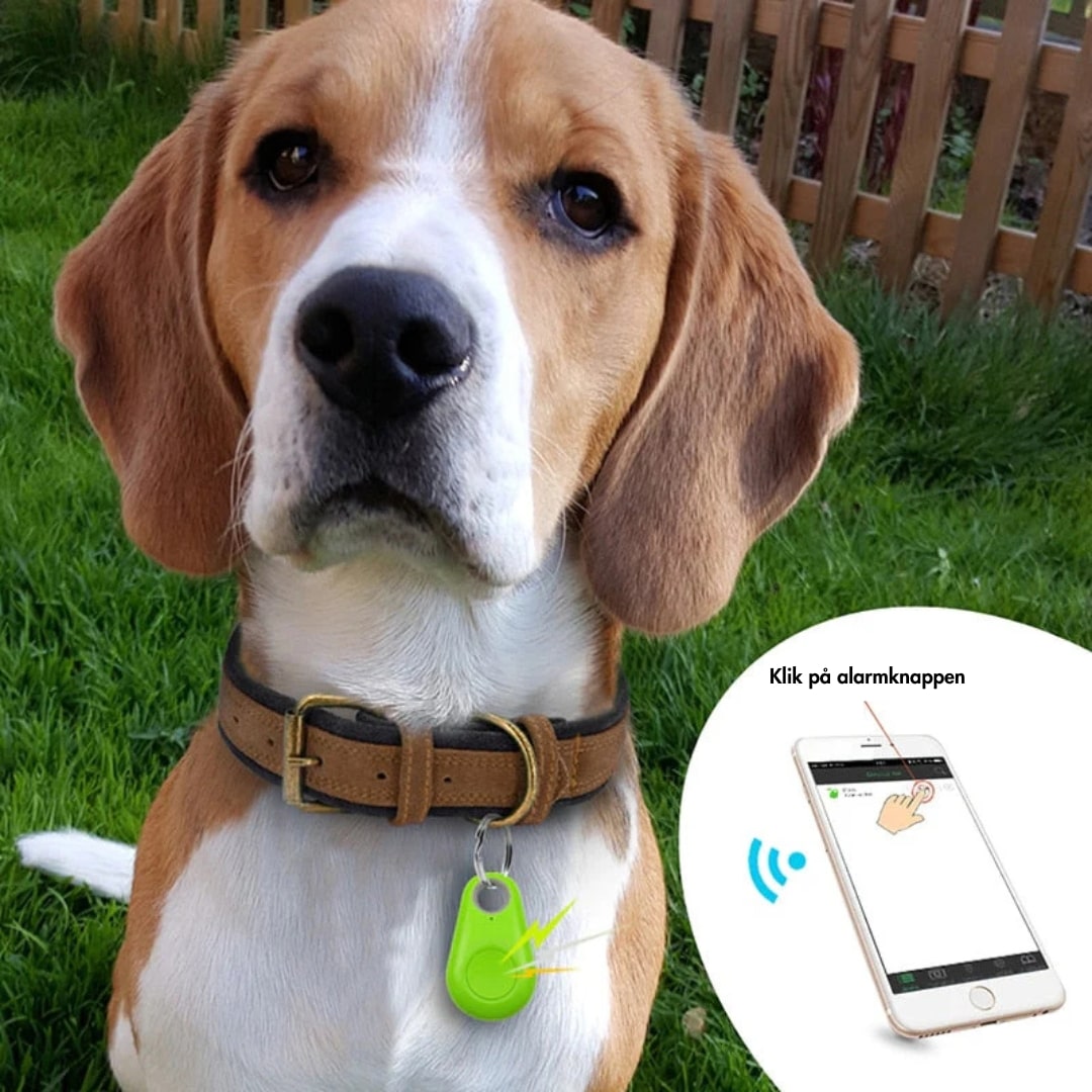 Compact Real-Time GPS Tracker for Kids, Pets, and Valuables