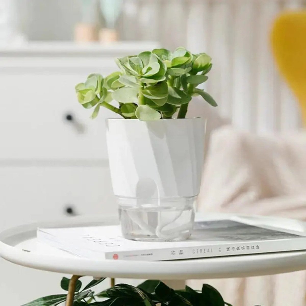 Self-Watering Plastic Flowerpot for Indoor Gardening