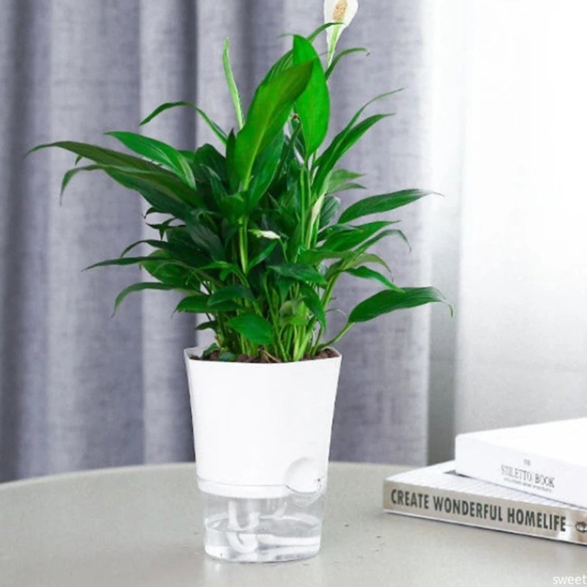 Self-Watering Plastic Flowerpot for Indoor Gardening